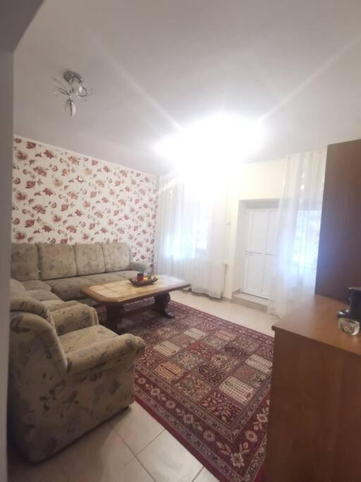 Tth Apartament Apartment Timişoara Exterior foto